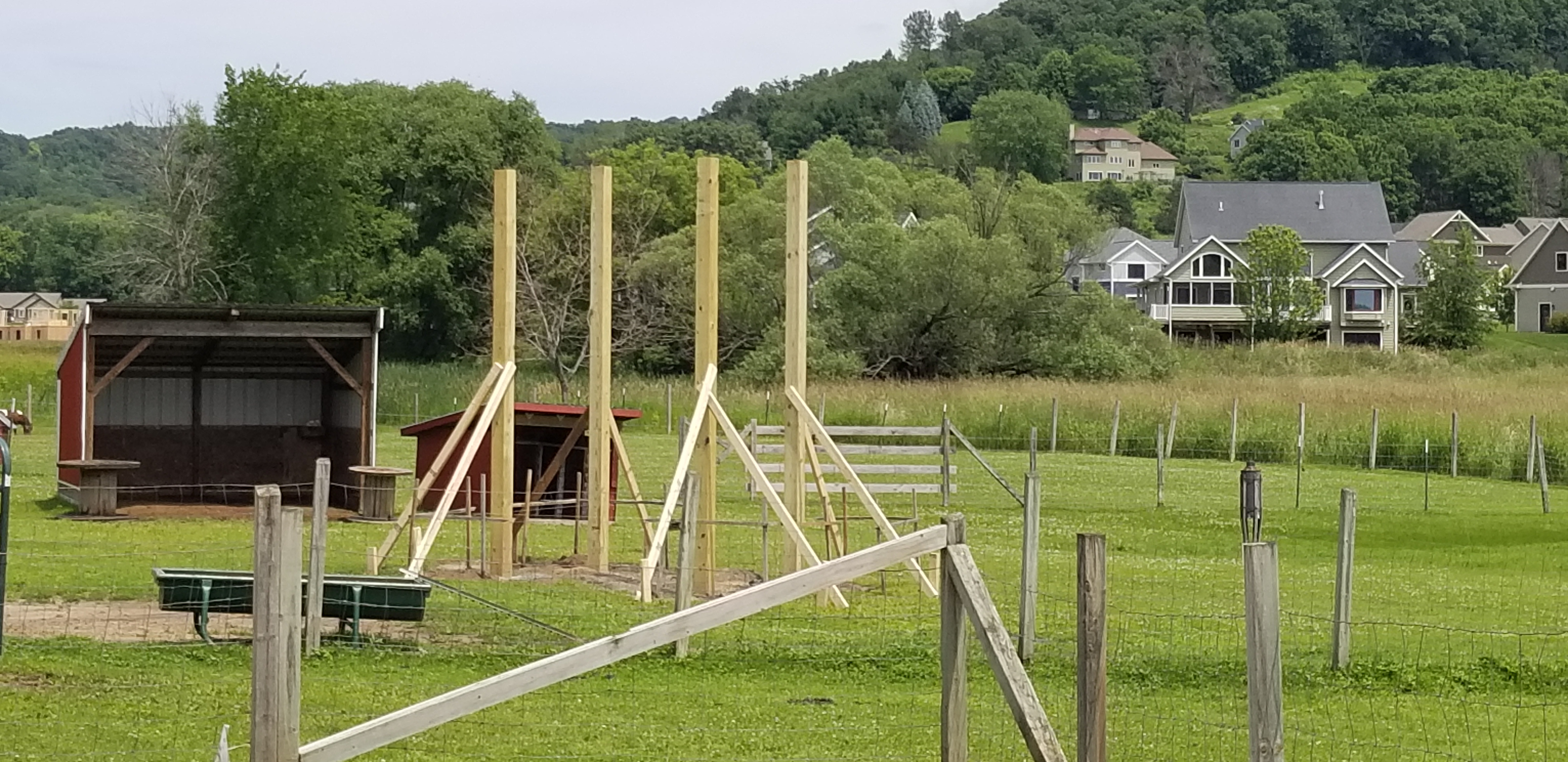 goat playground under construction.  Start with the highest feature