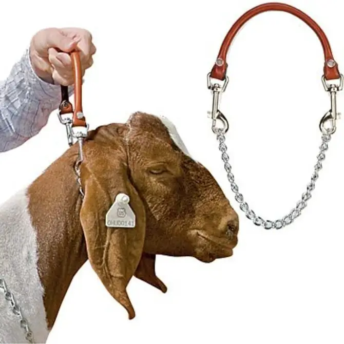 equipment required for goat farming