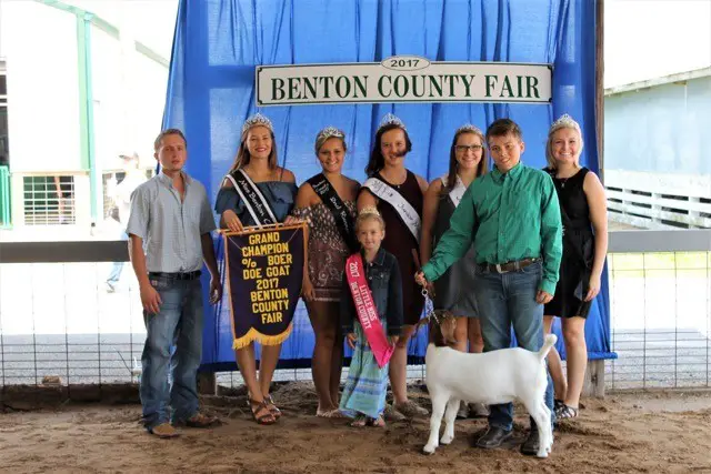 2017 Benton County Fair Grand Champion Boer Goat