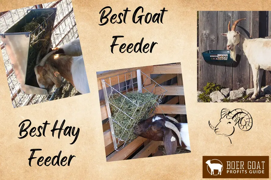 Best Goat Feeder and Best Goat Hay Feeder