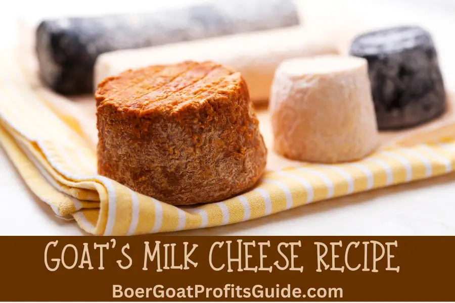 Goats Milk Cheese Recipe: Easy Homemade Delight