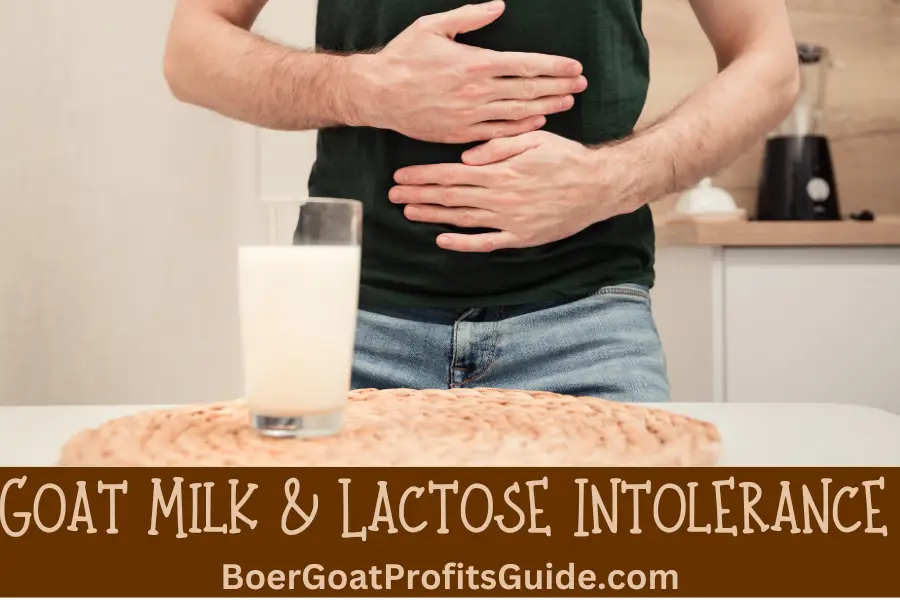 Goat Milk Lactose Intolerance