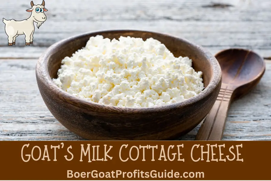 Goat milk Cottage Cheese