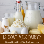 Is Goat Milk Dairy? Unveiling the Facts and Misconceptions
