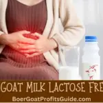 Is Goat Milk Lactose Free? Uncovering the Truth